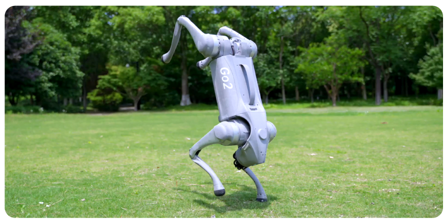 Robot Inteligent Patruped Unitree Go2