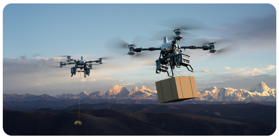 Drona DJI FlyCart 100 Dual Battery
